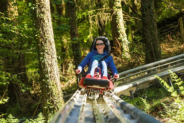 Fforest Coaster Ride at Zip World Red Letter Days