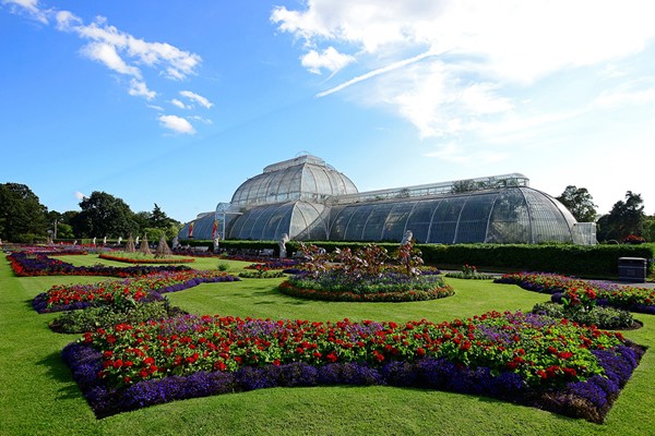 Entry to Kew Gardens and Palace for Two Adults Entry to Kew Gardens and Palace for Two Adults