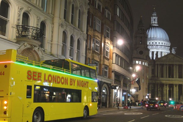 London at Night Sightseeing Tour for Two London at Night Sightseeing Tour for Two
