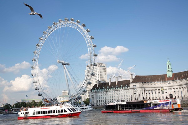 River Red Rover Thames Sightseeing Pass for Two River Red Rover Thames Sightseeing Pass for Two