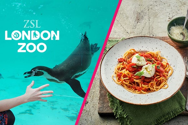 ZSL London Zoo Entry and Three Course Meal at Zizzi for Two ZSL London Zoo Entry and Three Course Meal at Zizzi for Two