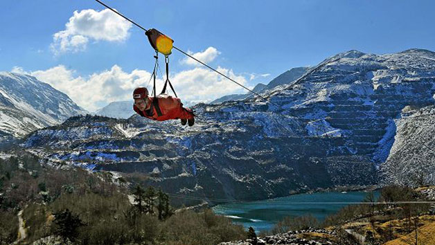 Zip World Velocity for One Zip World Velocity for One