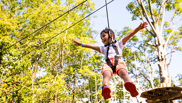 Treetop Adventure at Go Ape for One Adult and One Child