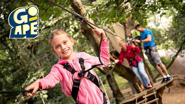 Treetop Adventure at Go Ape for One Adult and One Child