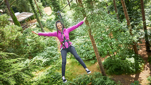 Treetop Challenge at Go Ape for One Adult