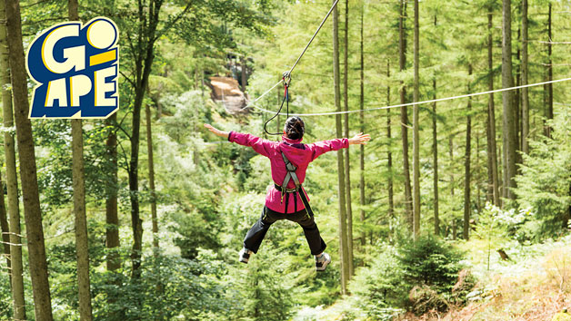 Treetop Challenge at Go Ape for Two