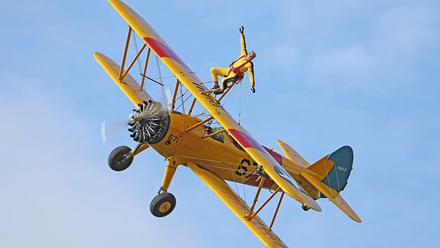 Wing Walking Experience for One Person