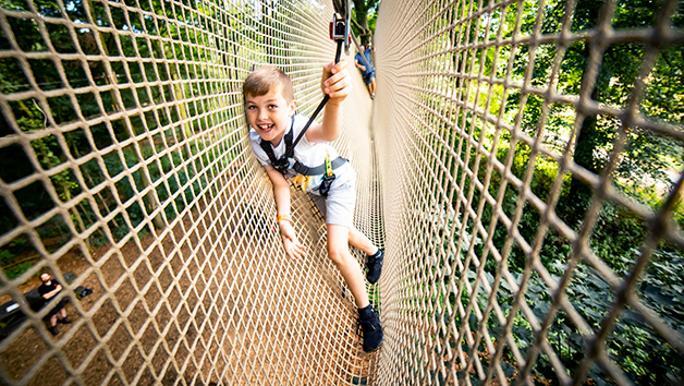 Treetop Adventure Plus at Go Ape for Two