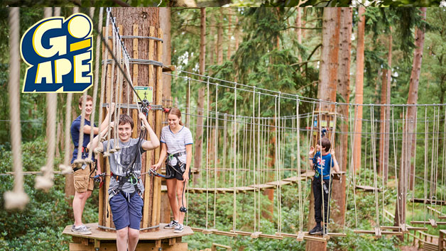 Treetop Adventure Plus at Go Ape for Two Treetop Adventure Plus at Go Ape for Two