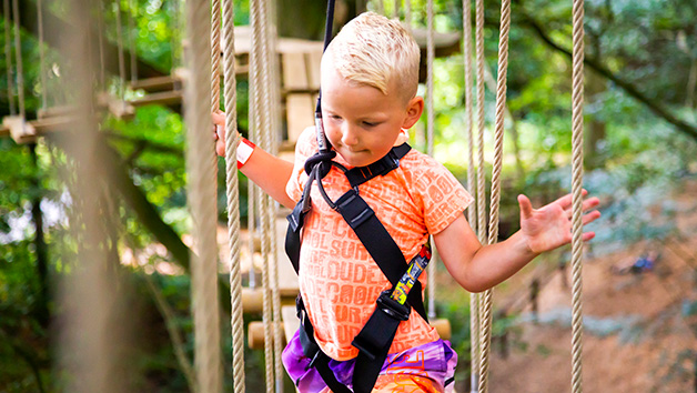 Treetop Adventure Plus at Go Ape for One