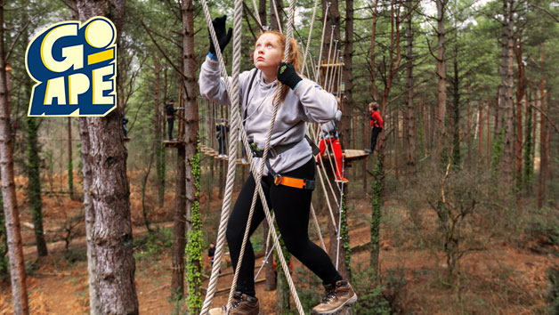 Treetop Adventure Plus at Go Ape for One Treetop Adventure Plus at Go Ape for One