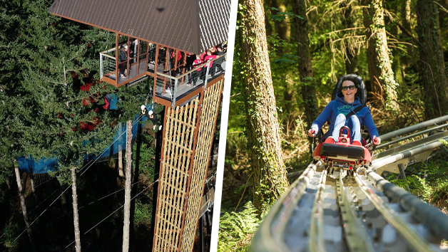 Forest Coaster and Plummet 2 for One Person at Zip World Red