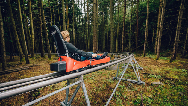 Forest Coaster And Plummet 2 For One Person At Zip World | Red Letter Days