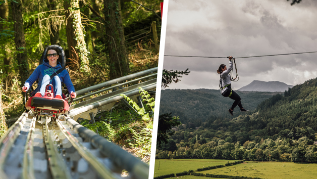 Fforest Coaster and Zip Safari 2 for One Person at Zip World