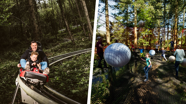 Fforest Coaster and Treetop Nets for One Adult and One Child at Zip World Fforest