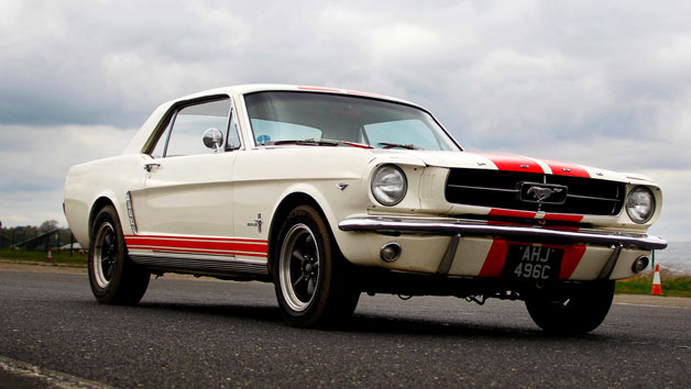 The Ultimate Four Car Mash Up Driving Experience Day for One picture