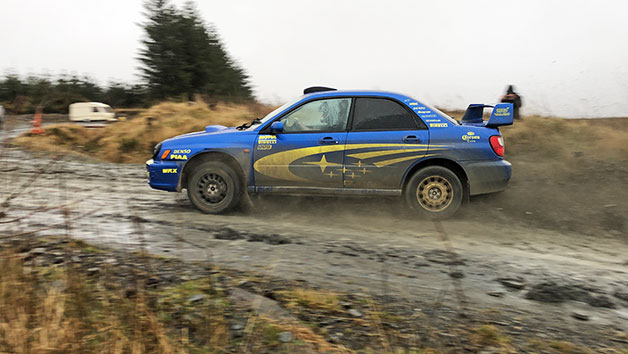 Forest Rally Experience in Wales for One