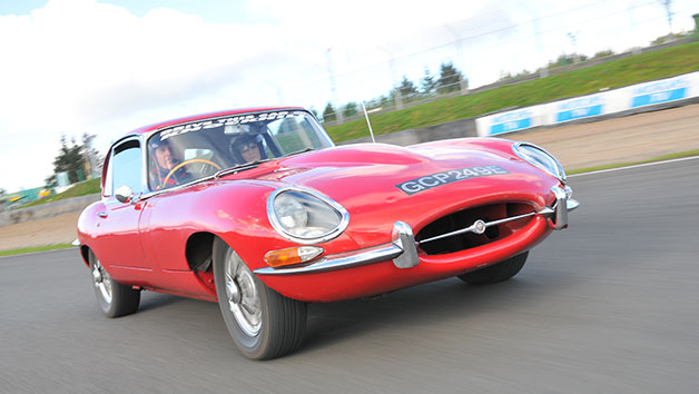 Jaguar E-Type Driving Thrill at Knockhill Racing Circuit for One