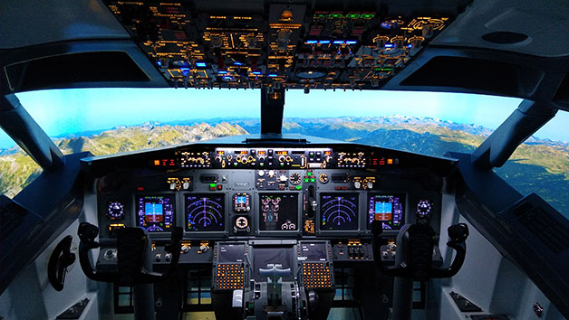 Boeing 737 Flight Simulator Experience