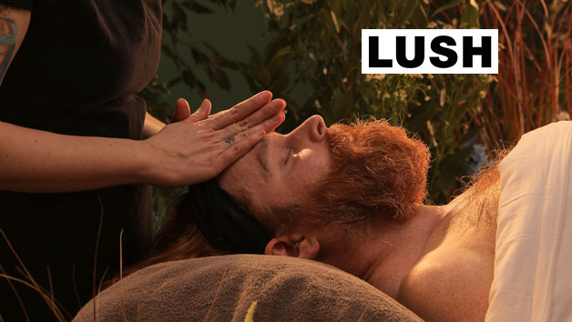 LUSH SPA REWILDING FACIAL 50 Minute Sculpting Facial with Refreshment for One picture