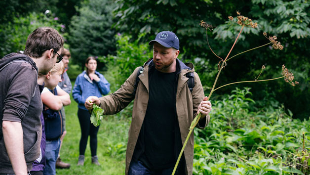 Foraging Walk for Two Adults and Two Children picture