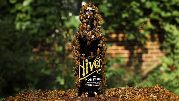 Urban Beekeeping and Hiver Honey Beer Tasting Experience for One