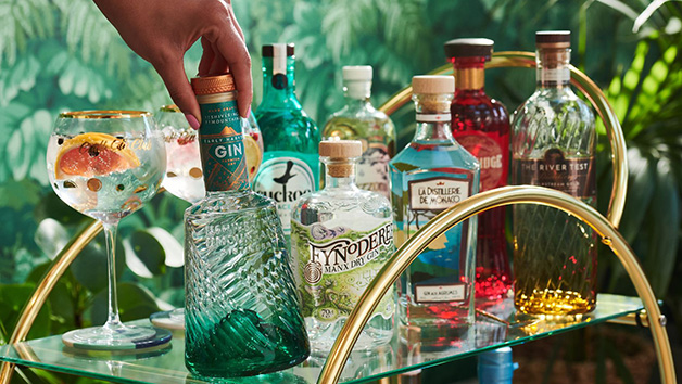 Monthly Gin Box Subscription for Four Months from Craft Gin Club picture