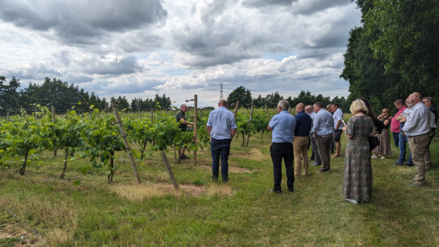 Vineyard Tour for Two with a Wine and Cheese Tasting at Giffords Hall picture