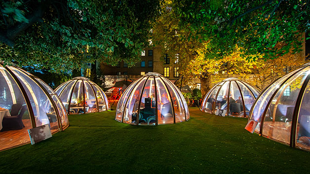 Afternoon Tea with Champagne for Two in The Domes at London Secret Garden, Kensington