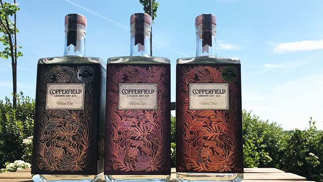 Gin Distillery Tour at The Surrey Copper Distillery Limited for Two People