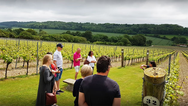 Vineyard Tour and Tasting at Hambledon Vineyard for Two