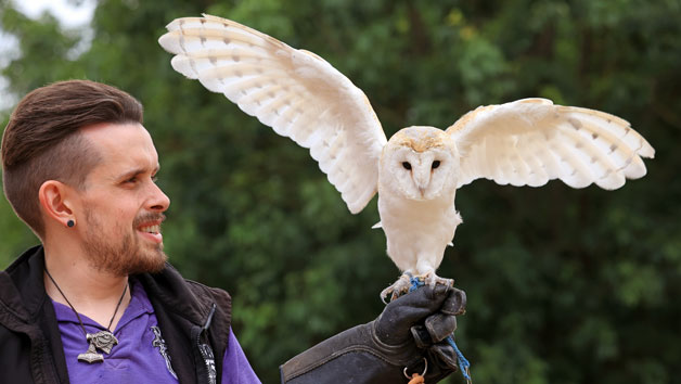 One-Hour Birds of Prey Flying Display at Hobbledown Heath Hounslow for ...