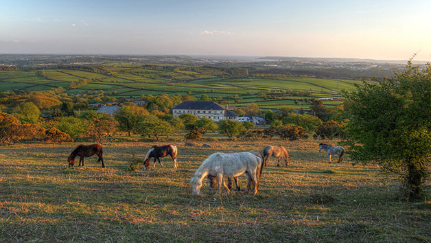 One Night National Park Stay for Two