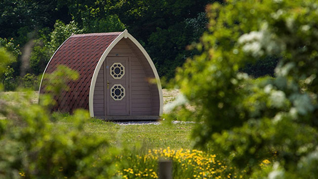 Camping Pod Getaway for Two picture