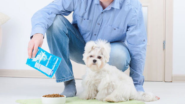 Pet Nutrition Diploma Online Course for One Person