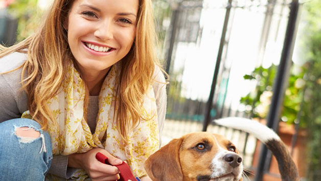 Pet Psychology Diploma Online Course for One Person
