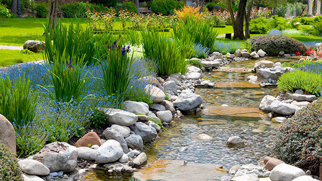 Zen Gardening Online Course for One Person