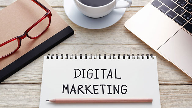 Online Digital Marketing Diploma for One