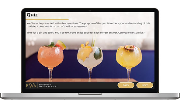 Online Gin School for One Person