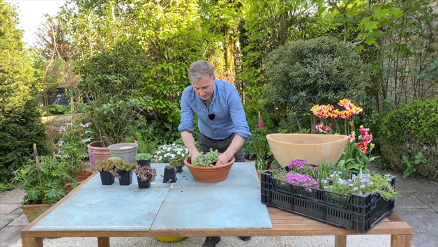 Online Container Gardening Course Taught by Chris Beardshaw

