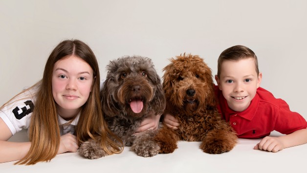 One-Hour Professional Pet Photography Portrait Session at Barrett & Coe picture