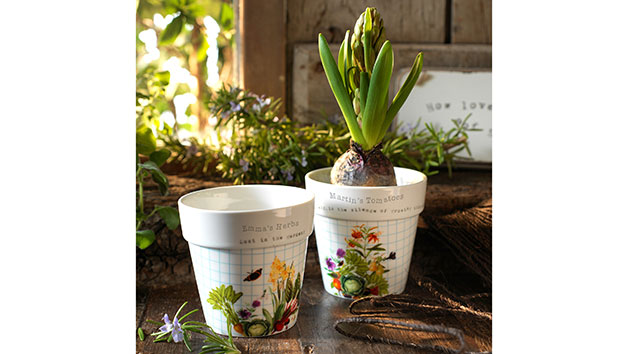 Set of Personalised Royal Horticultural Society Planters Set of Personalised Royal Horticultural Society Planters