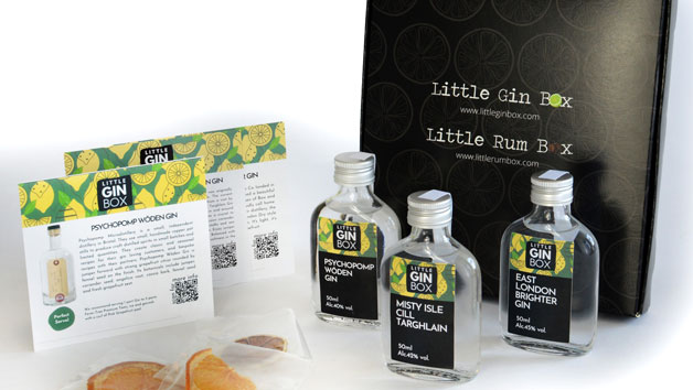 Little Gin Box 6 Month Premium Subscription