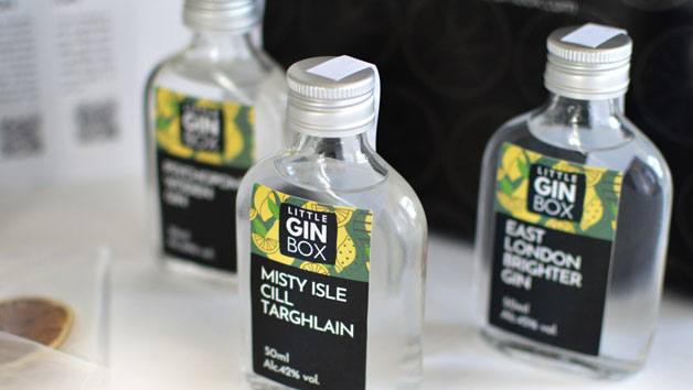 Little Gin Box 3 Month Premium Subscription