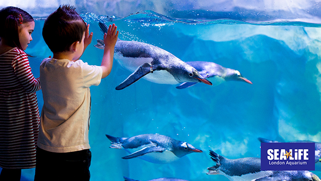 Two Entry Tickets to SEA LIFE London Aquarium picture