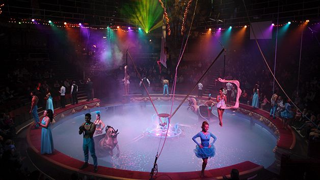 Entry Tickets to The Blackpool Tower Circus for Two