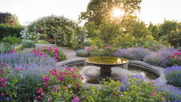 Unlimited Access to Five Gardens with RHS Individual Membership