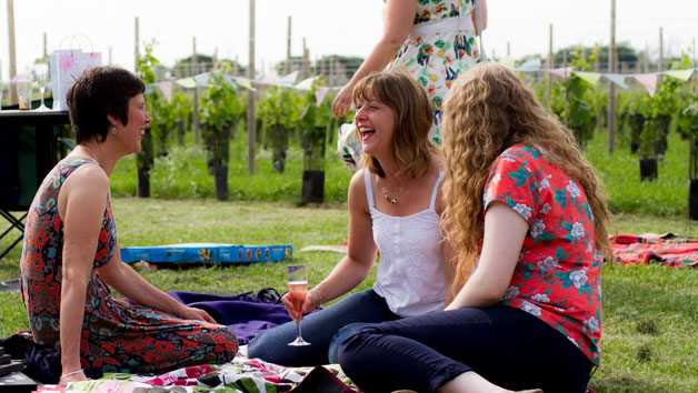 Yorkshire Heart Vineyard Tour and Wine Tasting for Two picture