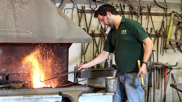Full Day Axe Making Experience for One picture