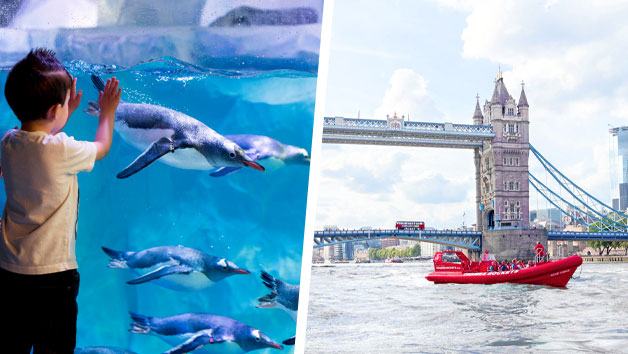 SEA LIFE London Aquarium and Thames Rockets High Speed Boat Ride for Two